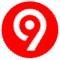 logo91club