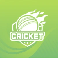 91 Club Game Cricket